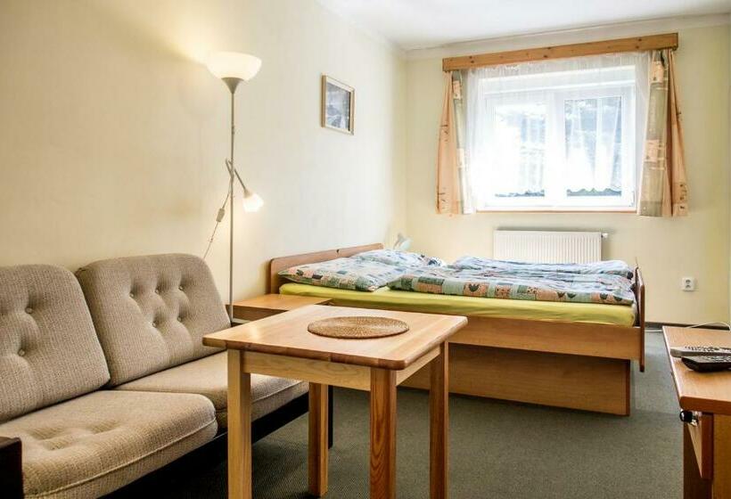 Номер Стандарт, Pension Rieger