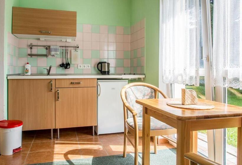 Студия Стандарт, Pension Rieger