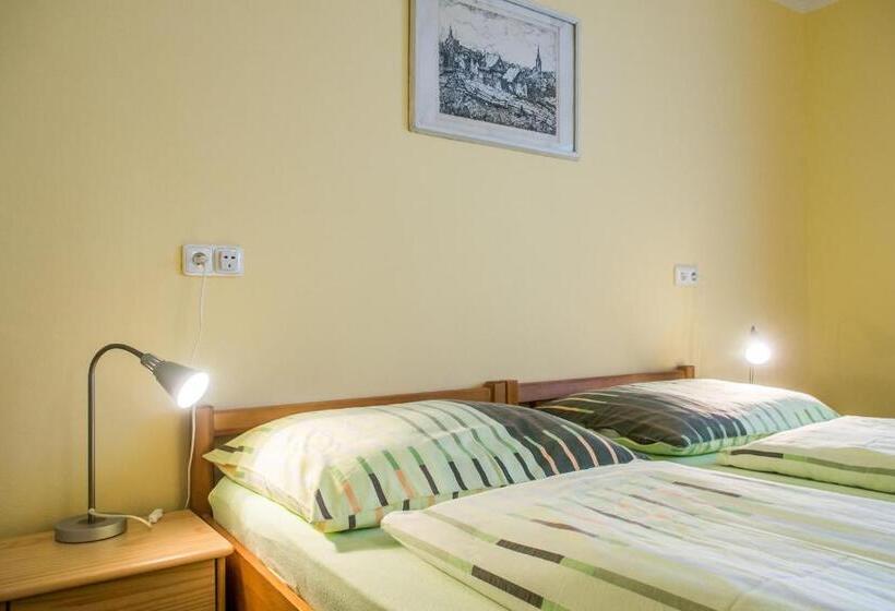 Студия Стандарт, Pension Rieger