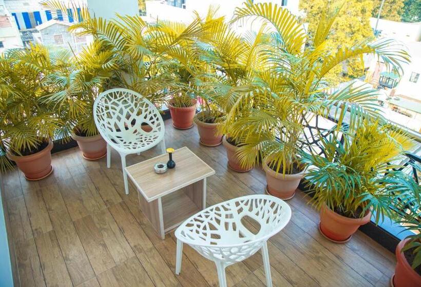 غرفة ديلوكس, Park Avenue Suites