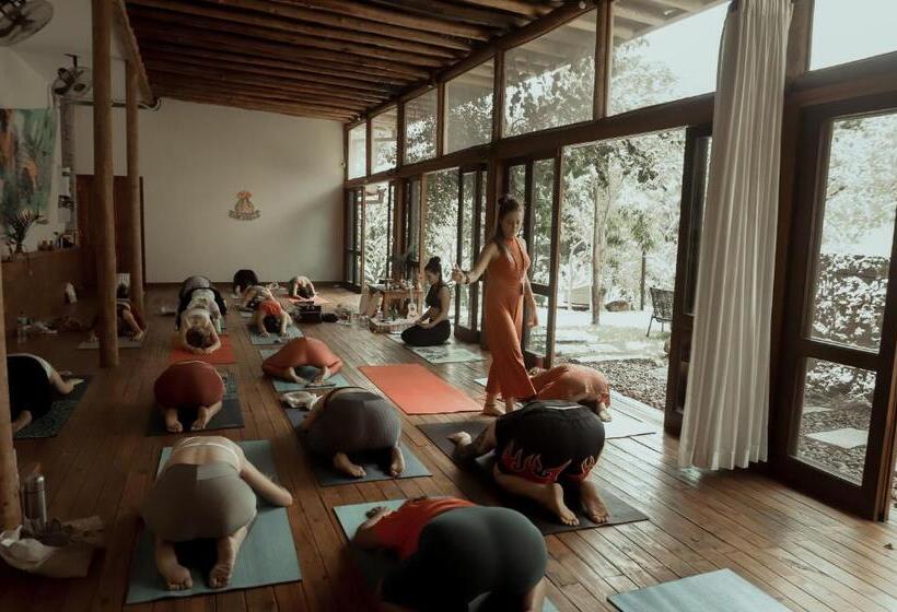 Люкс Вид на Море, Reserva Ilhabela