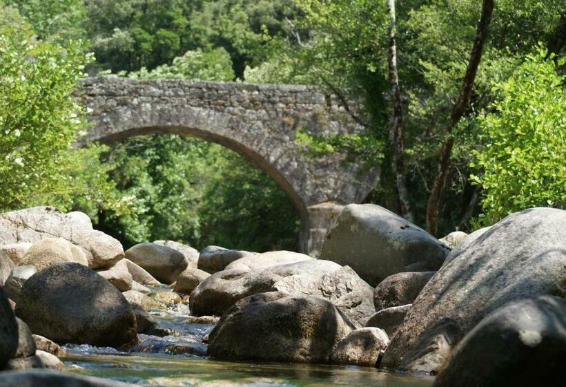 标准间, Domaine U Bugnu