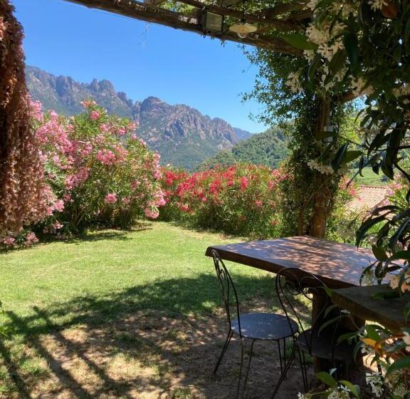Номер Стандарт, Domaine U Bugnu