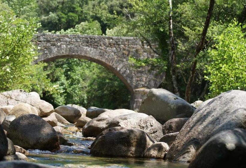 带大床的标准间, Domaine U Bugnu