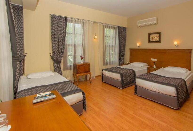 اتاق استاندارد سه نفره, Argos