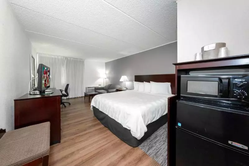 اتاق استاندارد با تخت بزرگ, Holiday Inn Shanghai Nanjing Road, An Ihg