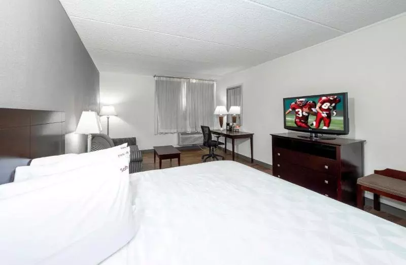 اتاق استاندارد با تخت بزرگ, Holiday Inn Shanghai Nanjing Road, An Ihg