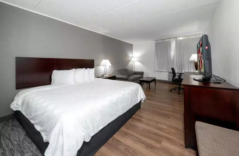 اتاق استاندارد با تخت بزرگ, Holiday Inn Shanghai Nanjing Road, An Ihg