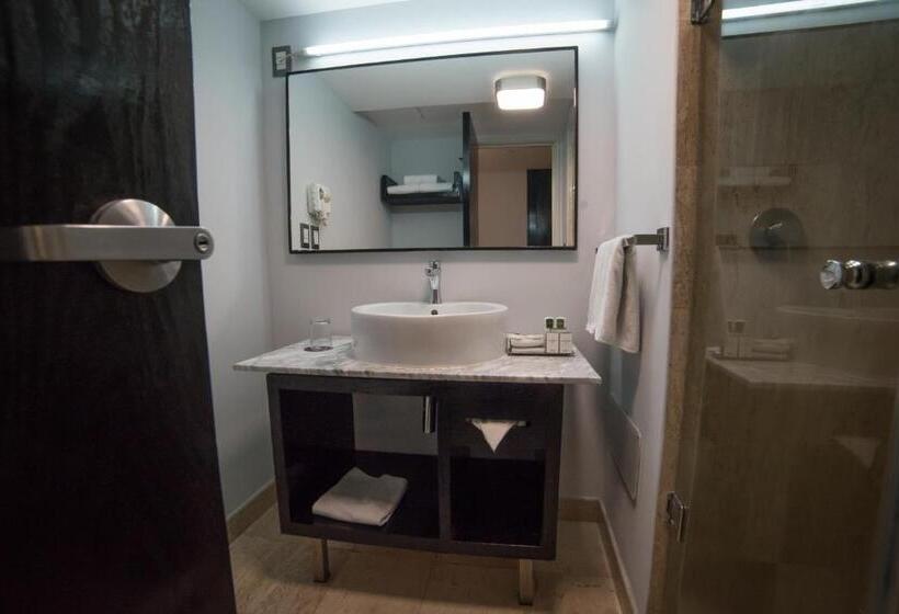 اتاق سوپریور, Laila Hotel Cdmx Reforma