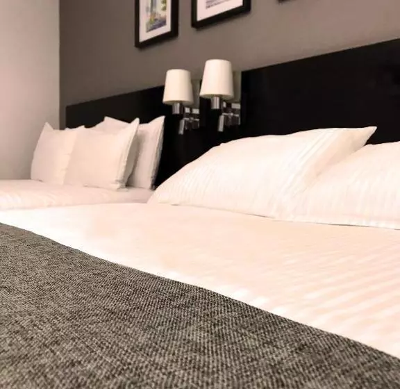 スーペリアールーム, Laila Hotel Cdmx Reforma