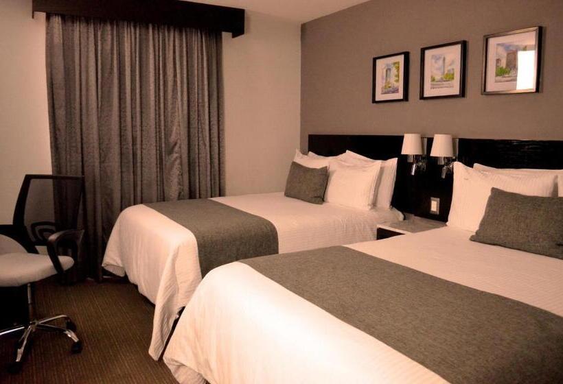 スーペリアールーム, Laila Hotel Cdmx Reforma