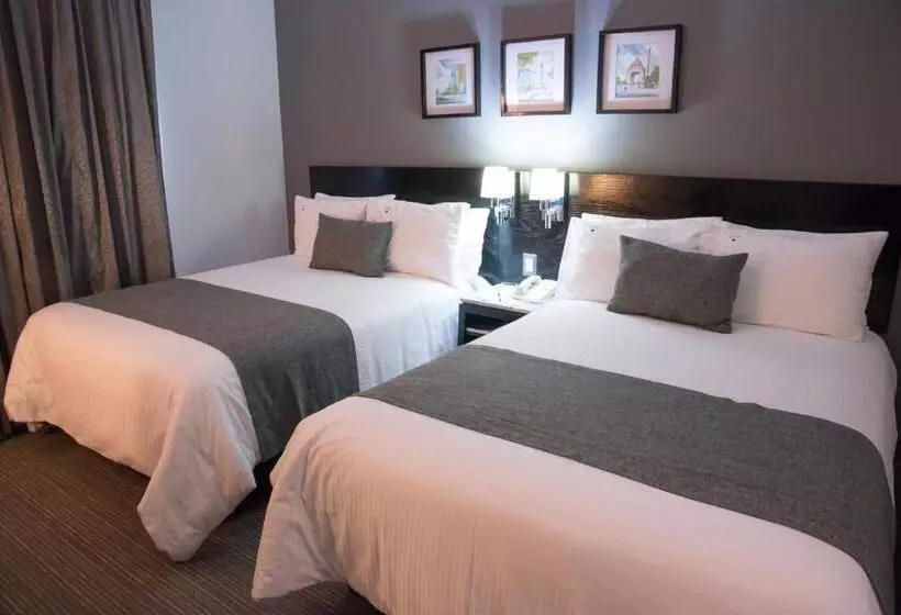 スーペリアールーム, Laila Hotel Cdmx Reforma