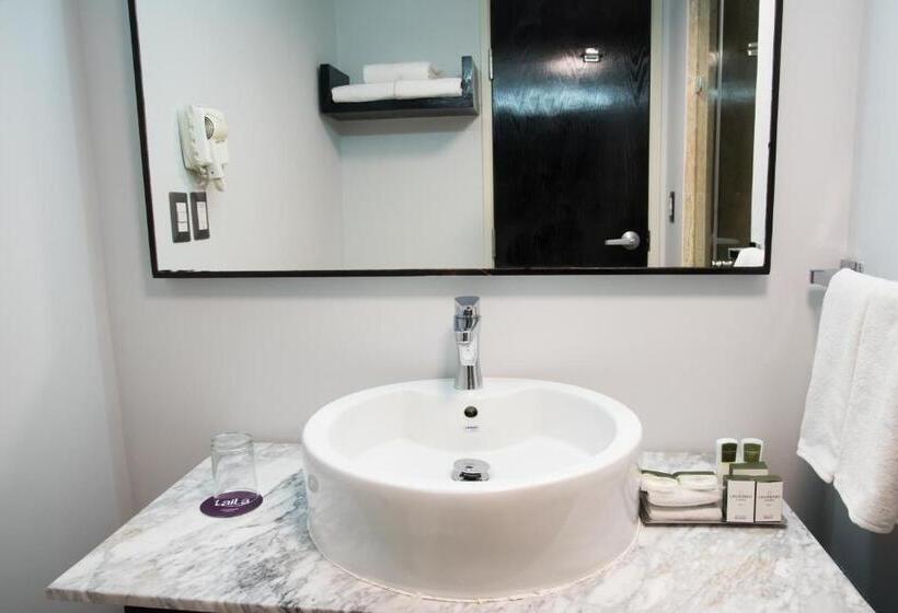 اتاق استاندارد, Laila Hotel Cdmx Reforma