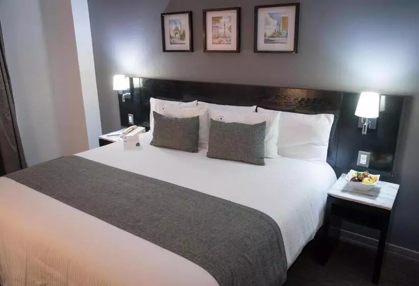 スタンダードルーム, Laila Hotel Cdmx Reforma