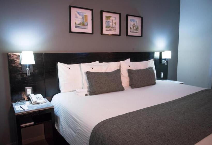 اتاق استاندارد, Laila Hotel Cdmx Reforma