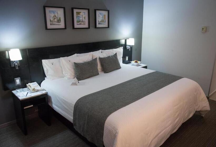 اتاق استاندارد, Laila Hotel Cdmx Reforma