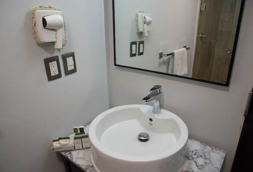 اتاق استاندارد, Laila Hotel Cdmx Reforma