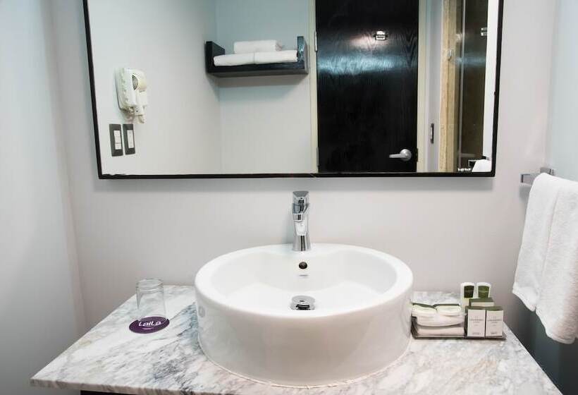 اتاق استاندارد, Laila Hotel Cdmx Reforma