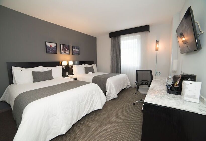 اتاق استاندارد, Laila Hotel Cdmx Reforma