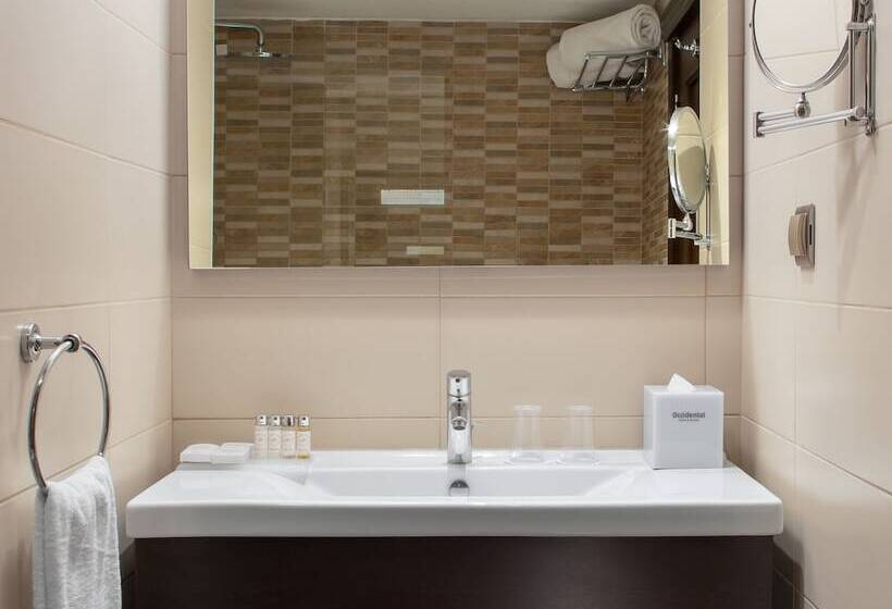 スタンダードルーム, Occidental Taksim