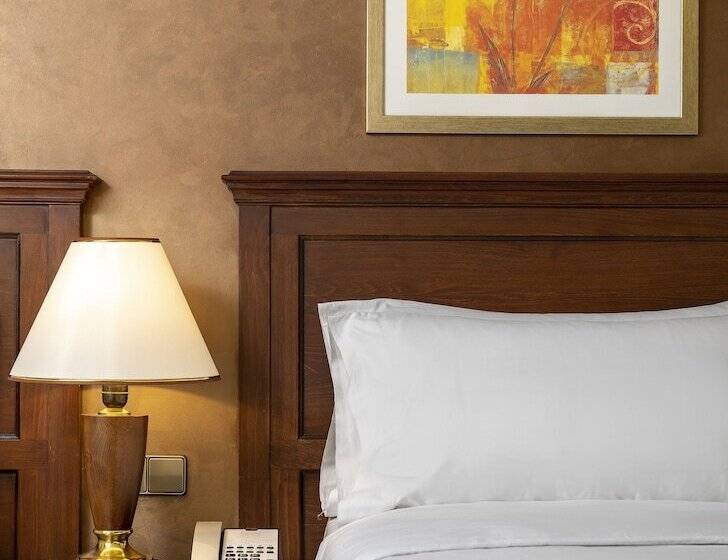 スタンダードルーム, Occidental Taksim