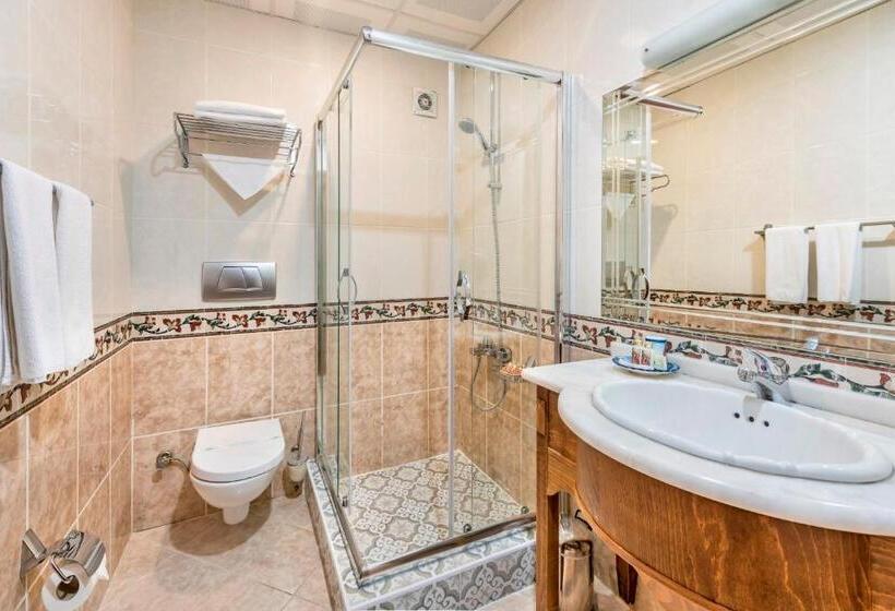 اتاق سوپریور, Seven Hills Hotel   Special Category