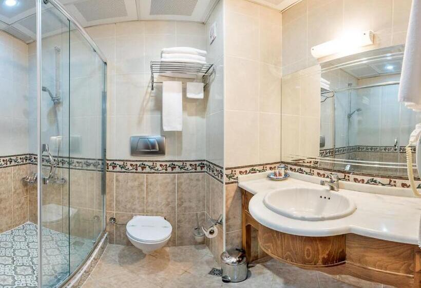 اتاق سوپریور سه تخته, Seven Hills Hotel   Special Category