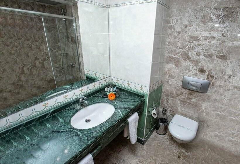 スタンダードルーム, The Green Park  Merter