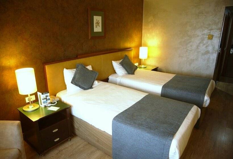 スタンダードルーム, The Green Park  Merter