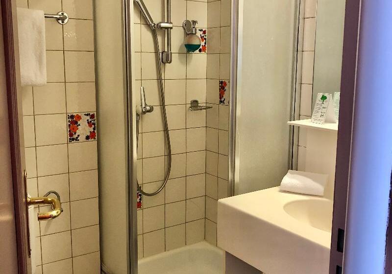 스탠다드 싱글 룸, Thermal Hotels & Walliser Alpentherme Leukerbad