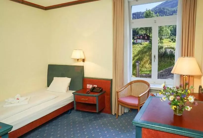 اتاق لوکس یک تخته, Thermal Hotels & Walliser Alpentherme Leukerbad