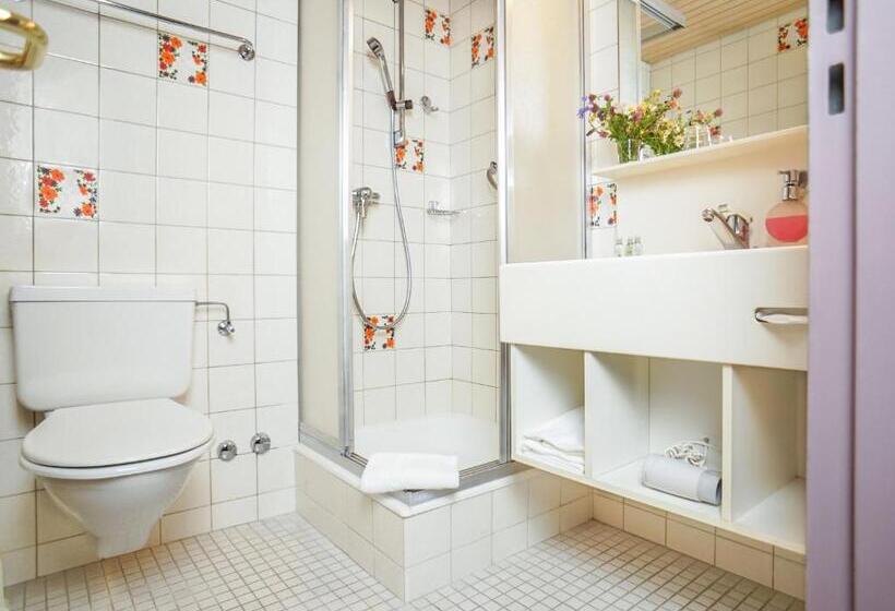 스탠다드 싱글 룸, Thermal Hotels & Walliser Alpentherme Leukerbad