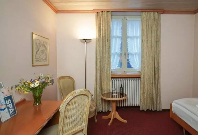 اتاق استاندارد یک نفره, Thermal Hotels & Walliser Alpentherme Leukerbad