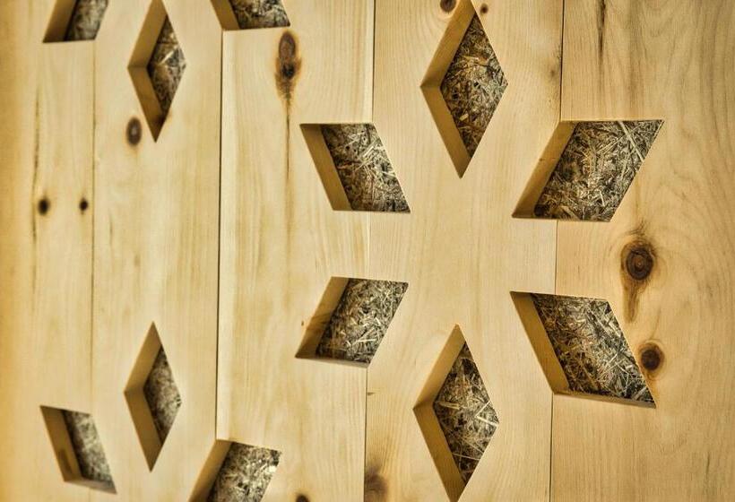 جناح ديلوكس مع إطلالات, Zermama Zermatt