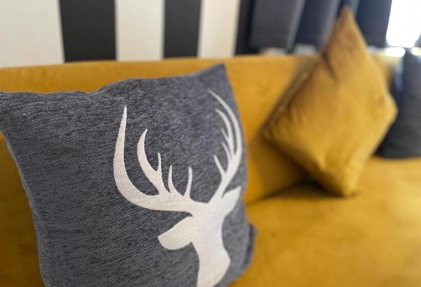 اتاق خانوادگی, Boutique Family House La