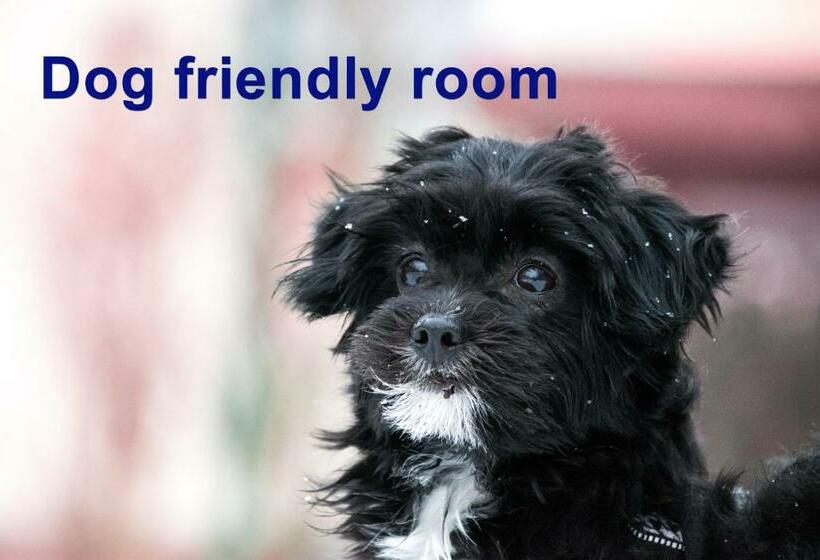 اتاق لوکس با تخت بزرگ, Casa De Tres Lunas/house Of Three Moons