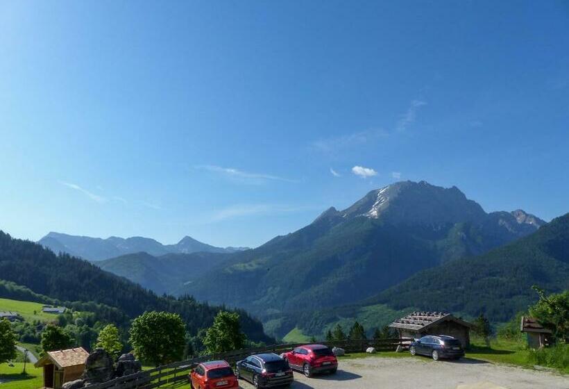 Номер Стандарт, Alpenpension Ettlerlehen