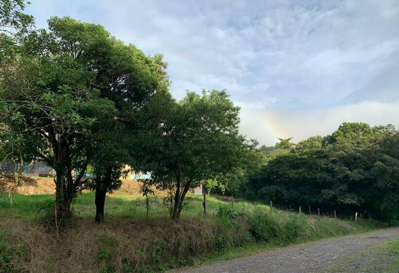 اتاق کلاسیک چهارنفره, Globi Lodge #2