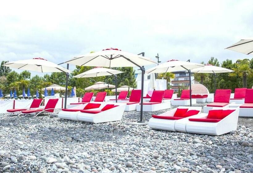 استودیوی استاندارد, Dreamland Oasis 7 Chakvi