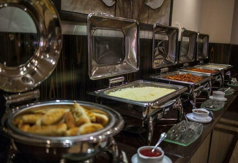 استودیوی استاندارد, Dreamland Oasis 7 Chakvi