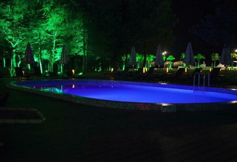 استودیوی استاندارد, Dreamland Oasis 7 Chakvi