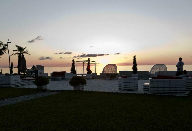 استودیوی استاندارد, Dreamland Oasis 7 Chakvi