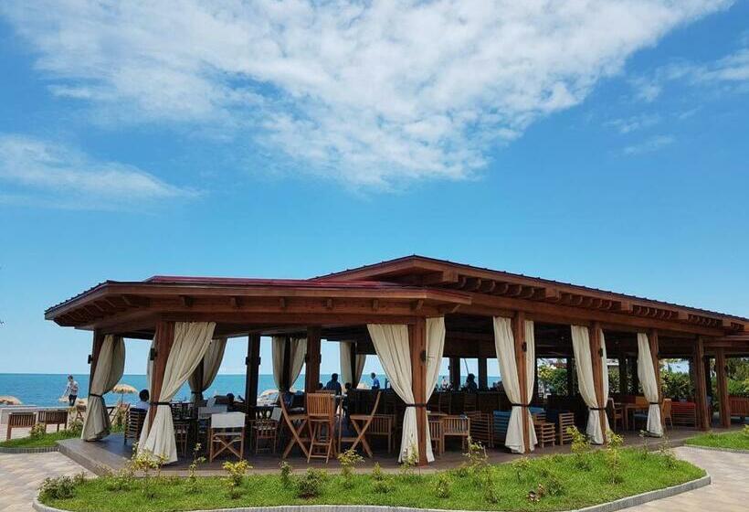 استودیوی استاندارد, Dreamland Oasis 7 Chakvi