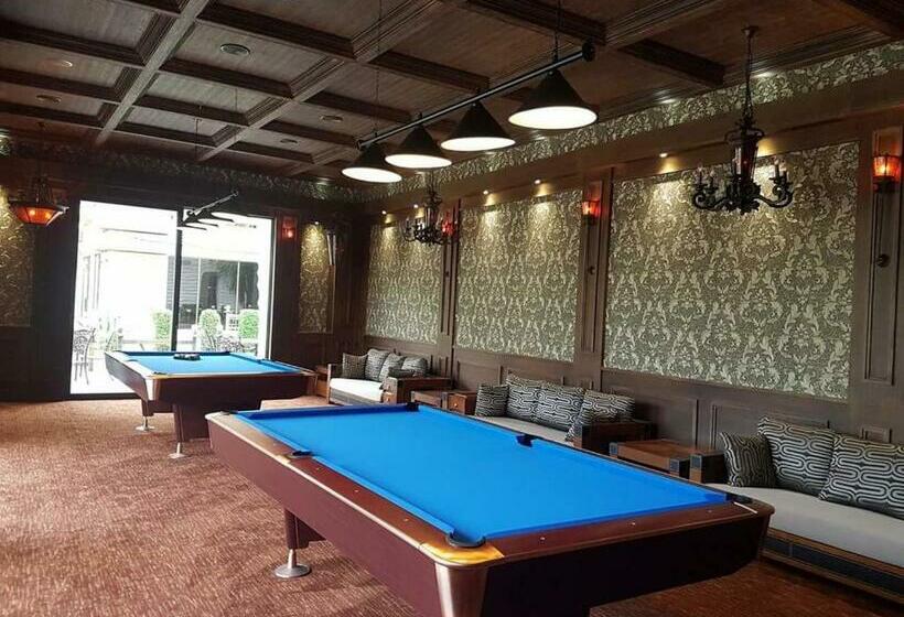 استودیوی استاندارد, Dreamland Oasis 7 Chakvi