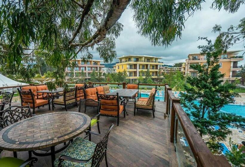 استودیوی استاندارد, Dreamland Oasis 7 Chakvi