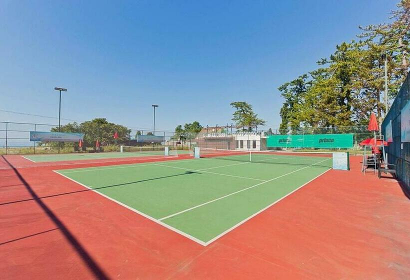 استودیوی استاندارد, Dreamland Oasis 7 Chakvi