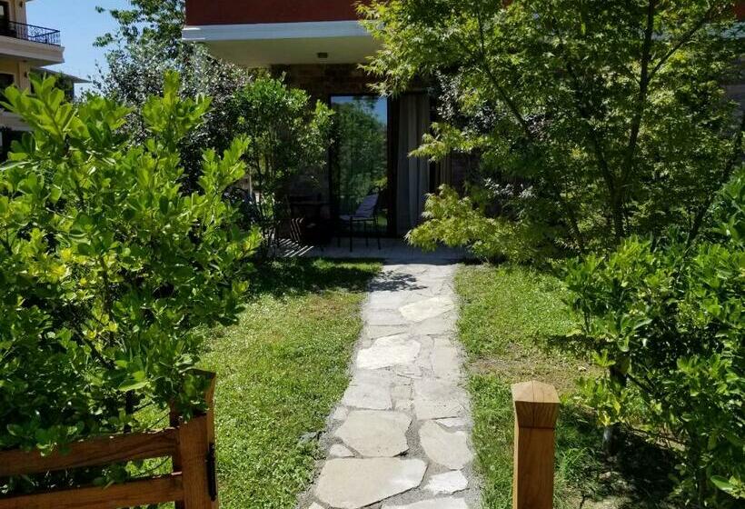 استودیوی استاندارد, Dreamland Oasis 7 Chakvi