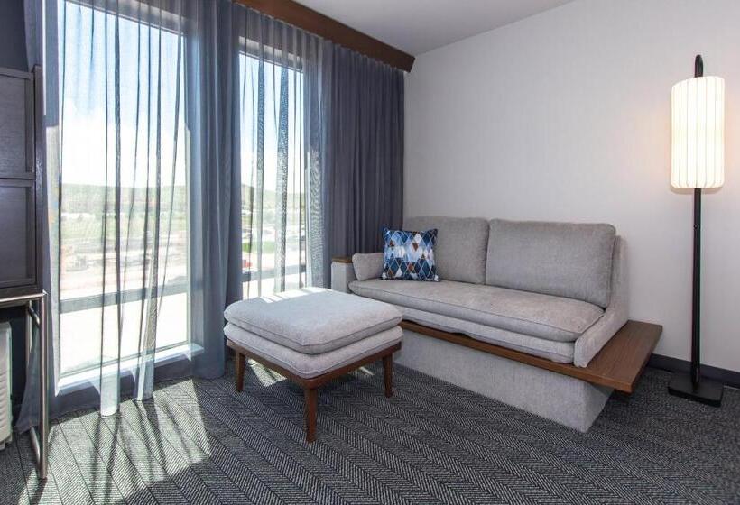 Стандартный Номер Кровать Кинг, Courtyard By Marriott Rapid City