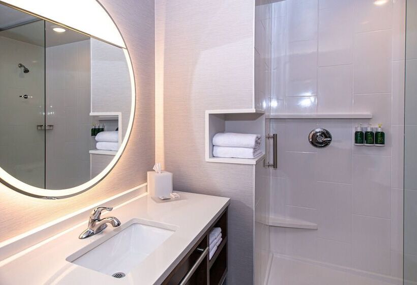 Люкс, Courtyard By Marriott Rapid City