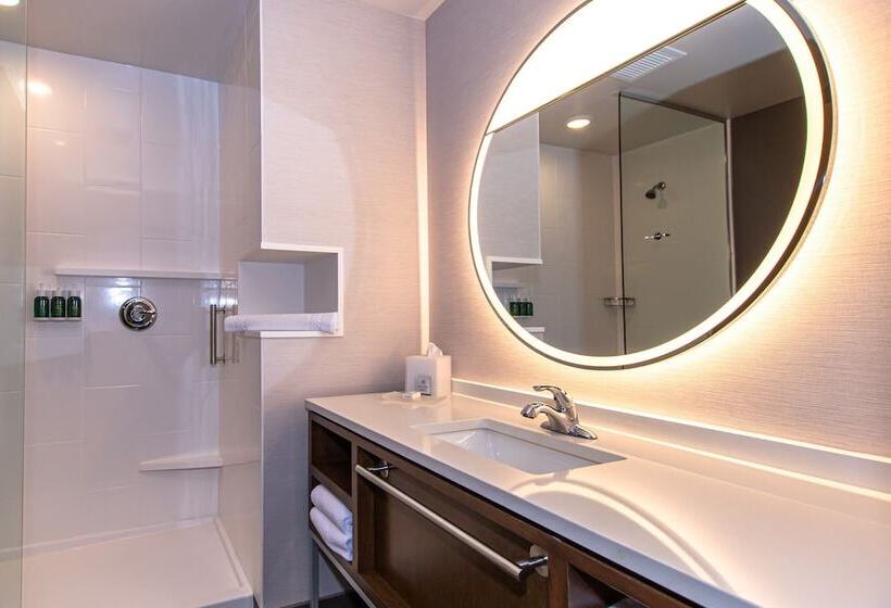 Люкс, Courtyard By Marriott Rapid City